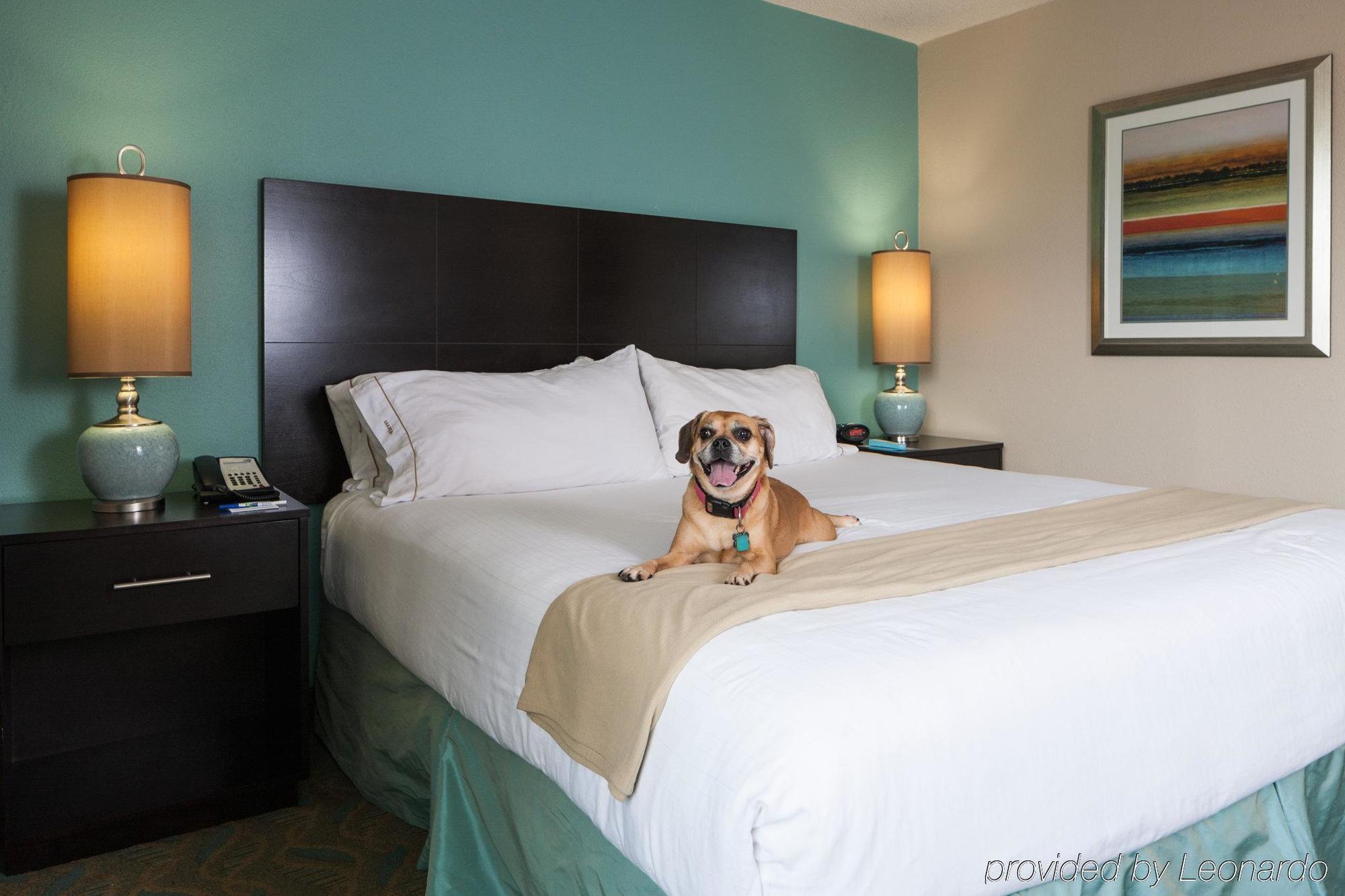 Holiday Inn Express & Suites Charleston Dwtn -Westedge By Ihg Exteriér fotografie